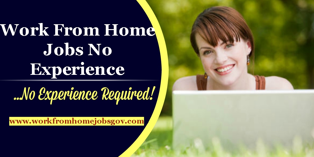 Find Work From Home Jobs No Experience title=